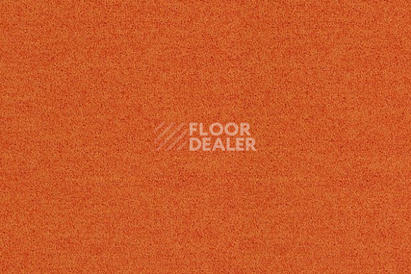 Ковровая плитка Interface Polichrome Solid 4266022 Carrot фото 1 | FLOORDEALER